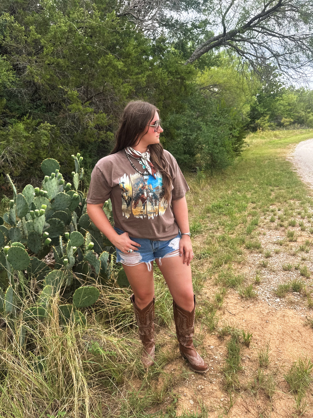 Retro Rodeo Rebel Comfort Colors Cotton Tee